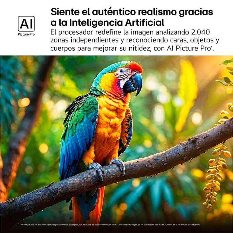 TV LG QNED evo MiniLED 65QNED85A6C AI 65 pulgadas 2025